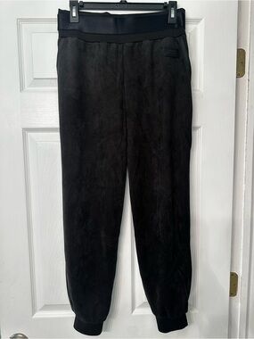 Ballet Company - Company Cooperative Black Velour Jogger Pants